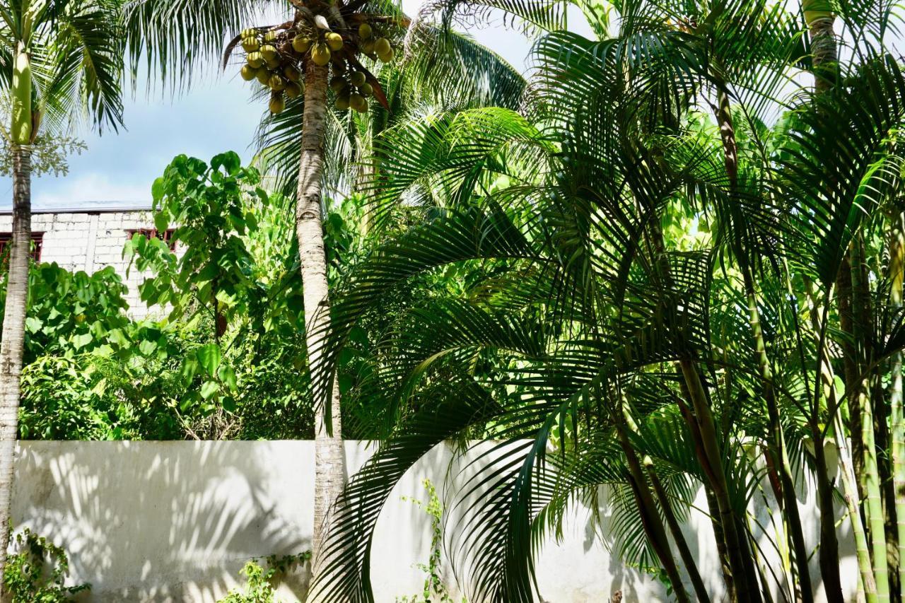 Flower Garden Resort Panglao Εξωτερικό φωτογραφία
